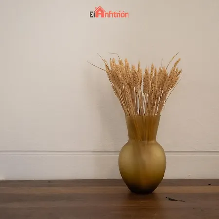 Apartment El Anfitrion - Loft Cargadores *